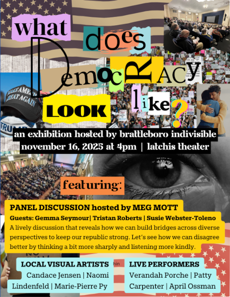 What Does Democracy Look
Like?